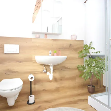 Co10-12 Hi In Apartment *
